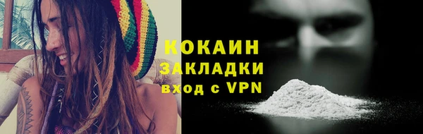 ECSTASY Белокуриха