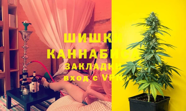 ECSTASY Белокуриха